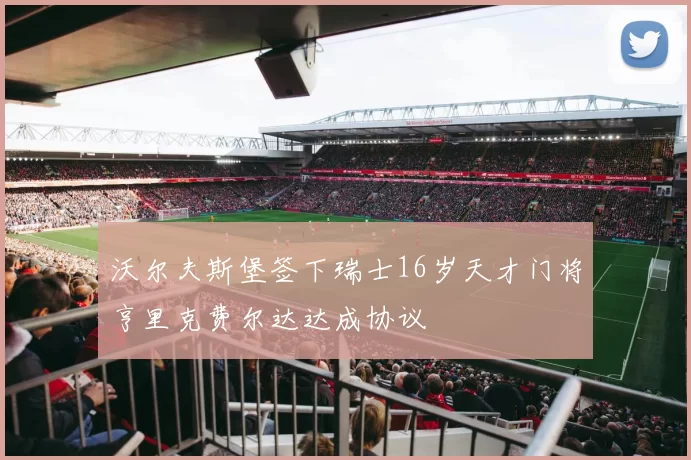 沃尔夫斯堡签下瑞士16岁天才门将亨里克费尔达达成协议